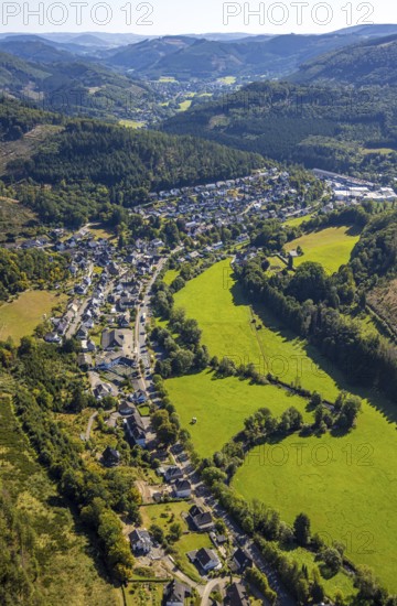 Aerial view, residential area, view of the district of Langenei in the Fredeburger Straße valley in a wooded hilly landscape, Langenei, Lennestadt, Sauerland, North Rhine-Westphalia, Germany, tree death, DE, Europe, property tax, real estate, clear-cutting, calamity areas, Kirchhundem, aerial view, aerial photography, aerial photography, valley, overview, bird's-eye view, forest, forest damage, forest dieback, housing estate, housing and living, residential area, housing quality, residential neighbourhood, housing estate, residential area, birds-eyes view, overview