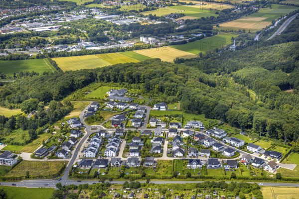 Aerial view, residential area Zum Dollberg, behind commercial area ZU den Ohlwiesen, distant view with forest, Arnsberg, Sauerland, North Rhine-Westphalia, Germany, residential area, Zum Dollberg, commercial area, Zu den Ohlwiesen, distant view, forest, houses, buildings, trees, nature, city, infrastructure, landscape, settlement, industry, residential buildings, surroundings, suburb, green area, architecture, topography, village, region, planning, overview, conurbation, rural, urban