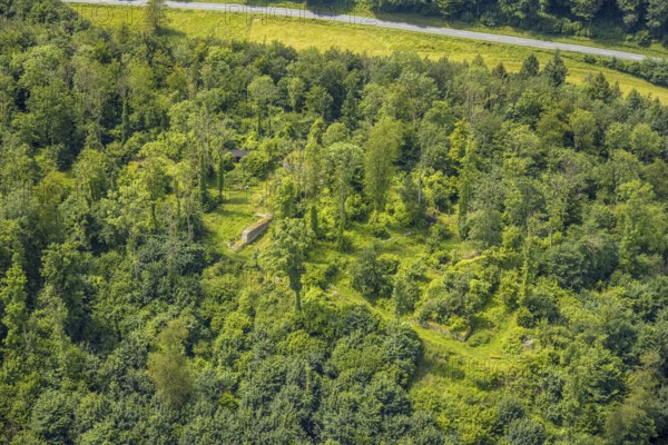 Aerial view, castle ruin resp. Remains of the Rüdenburg (also Alte Grafenburg or Alte Burg) on the Römerberg in the forest area, Obereimer, Arnsberg, Sauerland, North Rhine-Westphalia, Germany, castle ruins, Rüdenburg, Alte Grafenburg, old castle, Römerberg, forest area, ruin, historical site, remains, medieval, nature, trees, landscape, architecture, history, culture, sight, tourism, photography, panorama, forest, green, outdoor, summer, wooded, monument, geography, historical, travel, German fairytale forest, bird's eye view