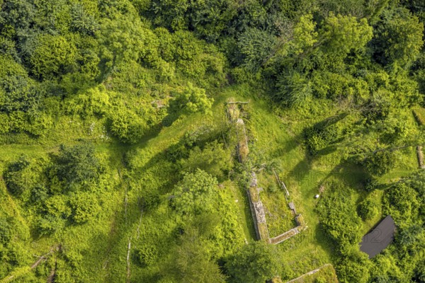 Aerial view, castle ruin resp. Remains of the Rüdenburg (also Alte Grafenburg or Alte Burg) on the Römerberg in the forest area, Obereimer, Arnsberg, Sauerland, North Rhine-Westphalia, Germany, castle ruins, Rüdenburg, Alte Grafenburg, old castle, Römerberg, forest area, historical, ruins, remains, medieval, architecture, landscape, forest, nature, hill, green, trees, building, tourism, sight, culture, monument, bird's eye view, wooded, history, castle, German, travelling, summer, pines, path, hiking trail, brick