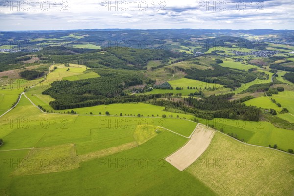 Aerial view, forest area with forest damage, distant view and blue sky with clouds, meadows and fields near Berghausen, Bad Berleburg, Wittgensteiner Land, North Rhine-Westphalia, Germany, Berghausen, trees, recreation, fields, distant view, forestry, green, sky, clarity, climate, landscape, nature, panoramic view, perspective, region, damage assessment, summer, daylight, topography, environment, environmental impact, forest area, forest damage, meadows, clouds, blue sky, peaceful, geographical, rural, vegetation, extensive, ecosystem