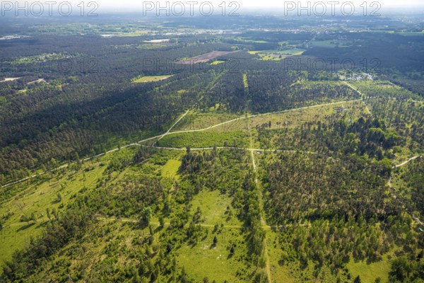 Aerial view, forest pastures Wistinghauser Senne nature reserve, heathland, forest and meadows and fields, Währentrup, Oerlinghausen, East Westphalia, North Rhine-Westphalia, Germany, forest pastures, Wistinghauser Senne, nature reserve, forest, meadows, fields, landscape, nature, protected area, environment, green, rural, flora, agriculture, open land, recreation, biodiversity, aerial view, top view, geography, ecology, calm, peace, naturalness, vastness, rural scenery, preservation, farmland, field work