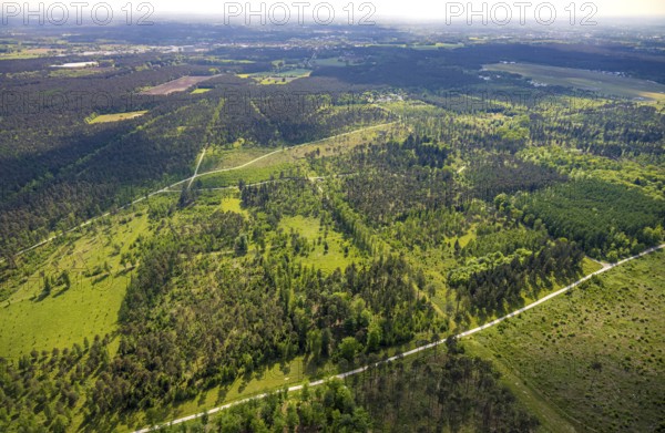 Aerial view, forest pastures Wistinghauser Senne nature reserve, heathland, forest and meadows and fields, Währentrup, Oerlinghausen, East Westphalia, North Rhine-Westphalia, Germany, forest pastures, Wistinghauser Senne, nature reserve, forest, meadows, fields, nature, scenic, protected area, rural, green, vegetation, agriculture, environment, hill, peace, tranquillity, landscape protection, conservation, biodiversity, sustainability, Europe, top view, aerial view, idyllic, undeveloped, farmland, flora, fauna, ecological, biodiversity