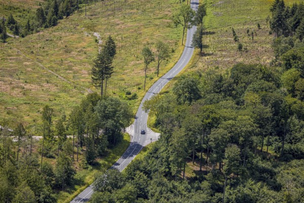 Aerial view, serpentines at the Ochsenkopf between Arnsberg and Sundern in the forest area with forest damage Stockumer Höhe, Sunderner Straße Landesstraße L685, Arnsberg, Sauerland, North Rhine-Westphalia, Germany, DE, Europe, aerial view, aerial photography, aerial photography, Ruhr area, overview, bird's eye view, birds-eyes view, overview