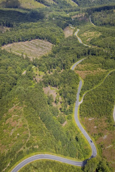 Aerial view, serpentines at the Ochsenkopf between Arnsberg and Sundern in the forest area with forest damage Stockumer Höhe, Sunderner Straße Landesstraße L685, Arnsberg, Sauerland, North Rhine-Westphalia, Germany, serpentines, Ochsenkopf, Sundern, forest area, forest damage, Stockumer Höhe, Sunderner Straße, Landesstraße L685, road, curves, traffic, trees, nature, landscape, environmental damage, motorway, region, rural, infrastructure, forest, season, travel, tourism, view, sky, greenery