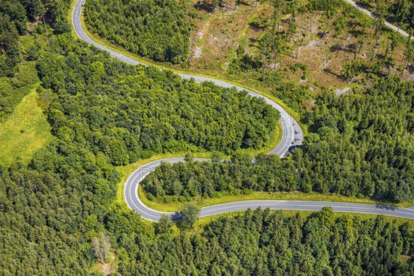 Aerial view, serpentines at the Ochsenkopf between Arnsberg and Sundern in the forest area with forest damage Stockumer Höhe, Sunderner Straße Landesstraße L685, Arnsberg, Sauerland, North Rhine-Westphalia, Germany, serpentines, Ochsenkopf, Sundern, forest area, forest damage, Stockumer Höhe, Sunderner Straße, Landesstraße L685, forest, trees, nature, landscape, road, traffic, damage, environmental damage, mountain, hill, curves, aerial view, autumn, drone shot, panorama, topography, environment, scenic, Europe, vegetation, infrastructure