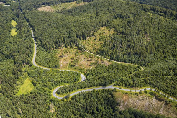 Aerial view, serpentines at the Ochsenkopf between Arnsberg and Sundern in the forest area with forest damage Stockumer Höhe, Sunderner Straße Landesstraße L685, Arnsberg, Sauerland, North Rhine-Westphalia, Germany, DE, Europe, aerial view, aerial photography, aerial photography, Ruhr area, overview, bird's eye view, birds-eyes view, overview