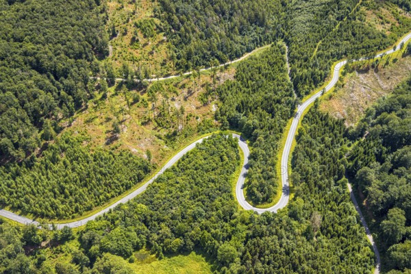 Aerial view, serpentines at the Ochsenkopf between Arnsberg and Sundern in the forest area with forest damage Stockumer Höhe, Sunderner Straße Landesstraße L685, Arnsberg, Sauerland, North Rhine-Westphalia, Germany, DE, Europe, aerial view, aerial photography, aerial photography, Ruhr area, overview, bird's eye view, birds-eyes view, overview