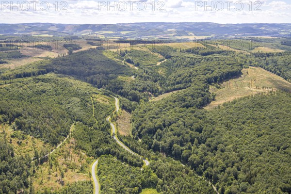 Aerial view, serpentines at the Ochsenkopf between Arnsberg and Sundern in the forest area with forest damage Stockumer Höhe, Sunderner Straße Landesstraße L685, Arnsberg, Sauerland, North Rhine-Westphalia, Germany, DE, Europe, aerial view, aerial photography, aerial photography, Ruhr area, overview, bird's eye view, birds-eyes view, overview