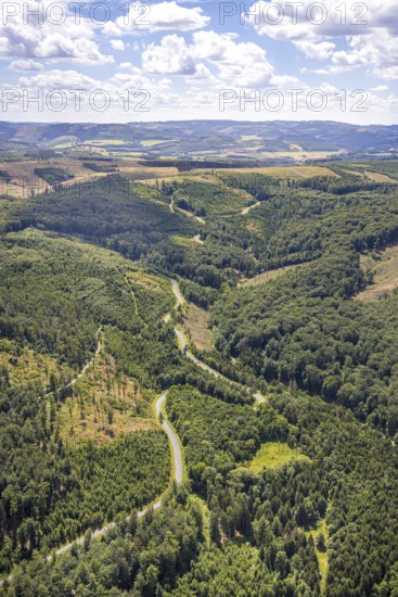 Aerial view, serpentines at the Ochsenkopf between Arnsberg and Sundern in the forest area with forest damage Stockumer Höhe, Sunderner Straße Landesstraße L685, Arnsberg, Sauerland, North Rhine-Westphalia, Germany, serpentines, Ochsenkopf, Sundern, forest area, forest damage, Stockumer Höhe, Sunderner Straße, Landesstraße L685, road, curves, trees, forest, forestry, environmental damage, traffic, nature, landscape, green, infrastructure, aerial view, altitude, panorama, day, summer, geography, topography, path, country road, vegetation