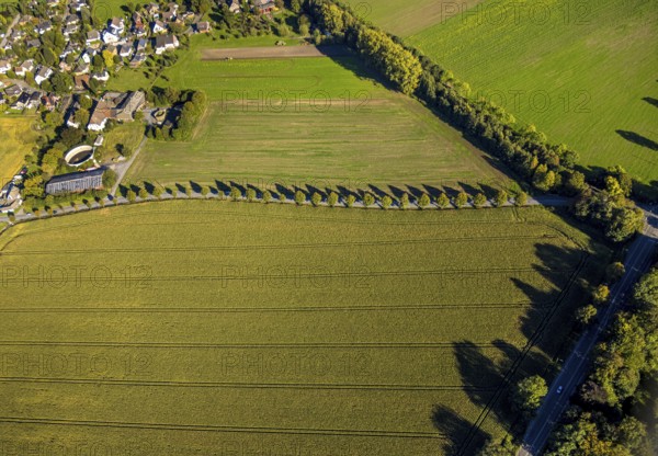 Aerial view, triangular group of trees in a field on Lünener Straße, field, field, group of trees, agriculture, Weddinghofen, Bergkamen, Ruhr area, North Rhine-Westphalia, Germany, agriculture, trees, plan view, area, geography, geometry, land use, landscape, nature, perspective, region, settlement area, summer, urban planning, street, structure, topography, environment, environment, vegetation, forest, triangular group of trees, European, rural