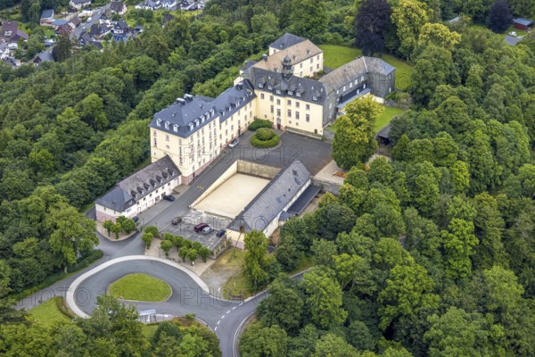 Aerial view, Wittgenstein Castle in the forest, Wittgenstein art, Bad Laasphe, Wittgensteiner Land, North Rhine-Westphalia, Germany, view, architecture, view, exterior shot, trees, monument, drone shot, Europe, building, history, culture, landscape, Middle Ages, nature, panorama, castle, Schloss Wittgenstein, sight, summer, daylight, tourism, landmark, forest, wooded, historical, rural, majestic, medieval, overview