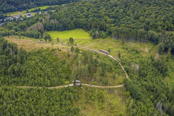 Aerial photo, forest area with forest damage at Weibersberg, Bad Laasphe, Wittgensteiner Land, North Rhine-Westphalia, Germany, trees, Europe, forestry, wood, climate change, landscape, aerial photo, Central Europe, sustainability, nature, perspective, damage, environmental protection, environmental damage, forest, forest area, forest damage, forest dieback, Weibersberg, ecosystem