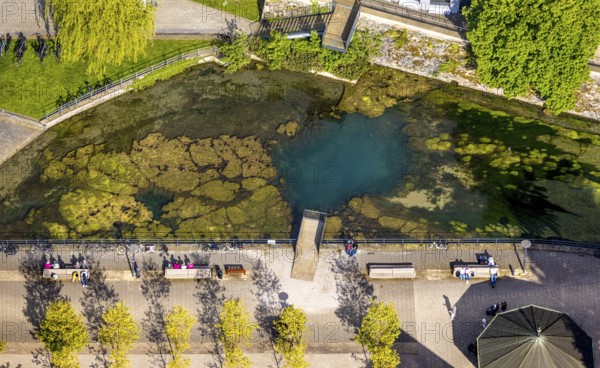 Aerial view, river Lippe spring in Arminiuspark at the congress centre, Bad Lippspringe, East Westphalia, North Rhine-Westphalia, Germany, river, Lippe spring, Arminiuspark, congress centre, nature, water, park, green spaces, trees, landscape, city, urban, architecture, building, leisure, recreation, sight, tourism, destination, geography, daylight, flowing water, outdoor area, idyllic, tranquillity, panorama, ecology, environment, culture
