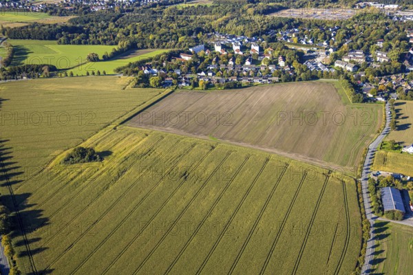 Aerial view, triangular group of trees in a field on Lünener Straße, field, field, group of trees, agriculture, Weddinghofen, Bergkamen, Ruhr area, North Rhine-Westphalia, Germany, agriculture, trees, plan view, area, geography, geometry, land use, landscape, nature, perspective, region, settlement area, summer, urban planning, street, structure, topography, environment, environment, vegetation, forest, triangular group of trees, European, rural