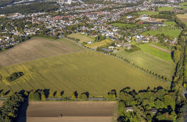 Aerial view, triangular group of trees in a field on Lünener Straße, field, field, group of trees, agriculture, Weddinghofen, Bergkamen, Ruhr area, North Rhine-Westphalia, Germany, agriculture, trees, plan view, area, geography, geometry, land use, landscape, nature, perspective, region, settlement area, summer, urban planning, street, structure, topography, environment, environment, vegetation, forest, triangular group of trees, European, rural