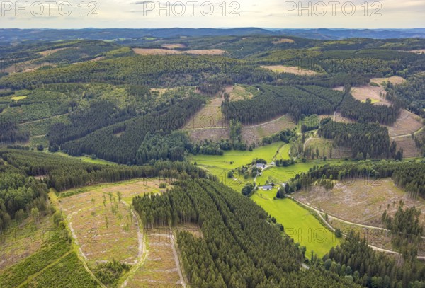 Aerial view, Homrighausen forester's lodge, half-timbered house in picturesque hilly landscape with distant view, forest area with forest damage, Bad Berleburg, Wittgensteiner Land, North Rhine-Westphalia, Germany, architecture, exterior view, trees, preservation, half-timbered house, distant view, building, hill, landscape, nature, panorama, damage, summer, daylight, environment, forest, forest area, forest damage, historical architecture, rural, rural idyll, picturesque hilly landscape, rural, traditional house, and infrastructure