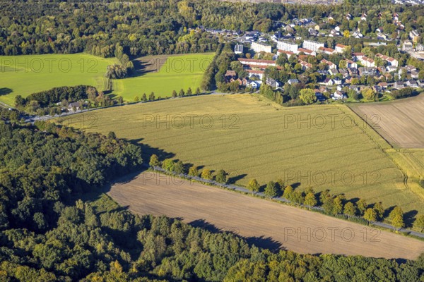 Aerial view, triangular group of trees in a field on Lünener Straße, field, field, group of trees, agriculture, Weddinghofen, Bergkamen, Ruhr area, North Rhine-Westphalia, Germany, agriculture, trees, plan view, area, geography, geometry, land use, landscape, nature, perspective, region, settlement area, summer, urban planning, road, structure, topography, environment, forest, triangular group of trees, European, rural, vegetation