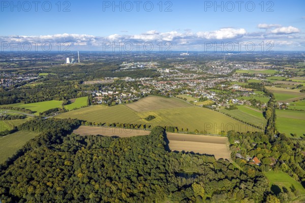 Aerial view, triangular group of trees in a field on Lünener Straße, field, field, group of trees, agriculture, Weddinghofen, Bergkamen, Ruhr area, North Rhine-Westphalia, Germany, agriculture, trees, plan view, area, geography, geometry, land use, landscape, nature, perspective, region, settlement area, summer, urban planning, street, structure, topography, environment, environment, vegetation, forest, triangular group of trees, European, rural