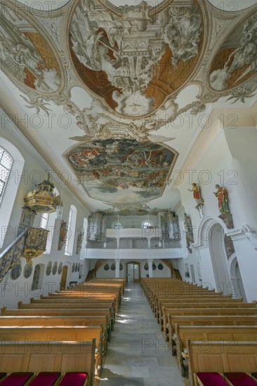 Interior of the Roman Catholic parish church of the Assumption of the Virgin Mary with organ loft and ceiling frescoes in Gebrazhofen, district of the large district town of Leutkirch im Allgäu, district of Ravensburg, Baden-Württemberg, Germany