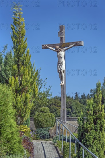 Crucifix and the tree of life (Thuja) at the Roman Catholic parish church of the Assumption of the Virgin Mary in Gebrazhofen, district of the large district town of Leutkirch im Allgäu, district of Ravensburg, Baden-Württemberg, Germany