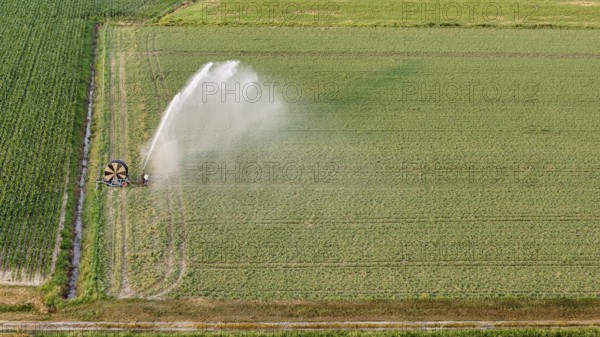 Agricultural irrigation system spraying water over young soybean plants in an Italian farm field during springtime in the Po Valley showing advanced farming techniques for crop growth and hydration
