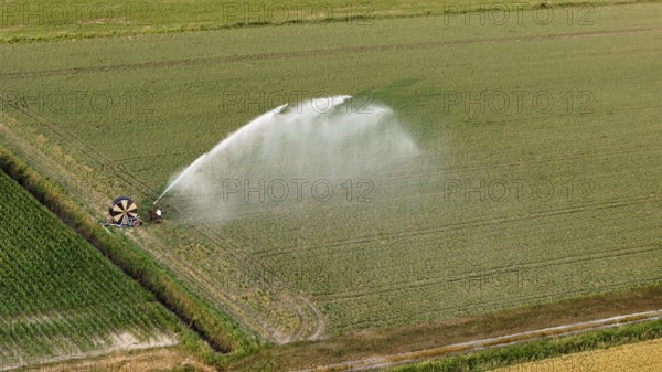 Sprinkler irrigation system watering soybean crops with fine mist in a lush green field during a sunny springtime day in the Po Valley Italy agriculture concept