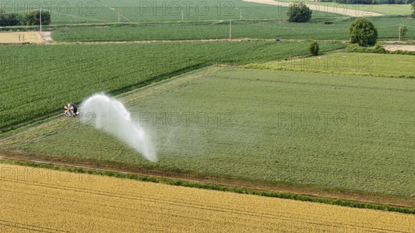 Vast Soybean Field in Northern Italy Receiving Water from a Powerful Irrigation Sprinkler System on a Sunny Spring Day