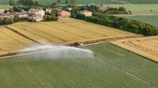 Modern Agricultural Irrigation System Sprays Water Over Green Soybean Fields Under a Bright Springtime Sky in the Po Valley Italy