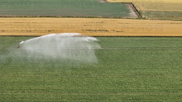 Modern Agricultural Irrigation Techniques Employing Rain Gun Sprinklers for Soybean Cultivation During Springtime in the Fertile Po Valley Region of Northern Italy