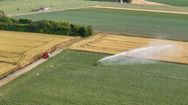 Automated Irrigation System Sprays Water on Lush Green Soybean Fields in Italy During Springtime Agricultural Cultivation in the Po Valley
