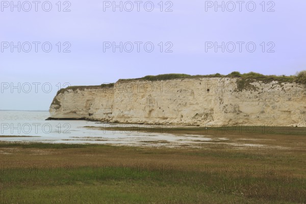 Coast in Charentes, Cliffs by a calm sea under a pale sky, surrounded by green grass and a gentle coastline