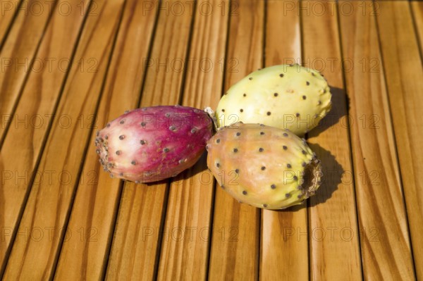 Prickly pears
