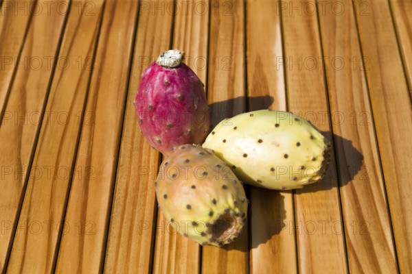 Prickly pears