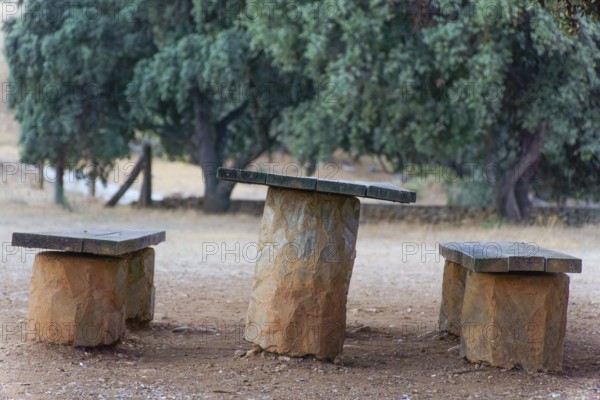 Rustic wooden table and benches providing a peaceful resting spot in a park setting