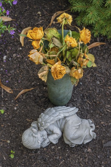Gravesite with sleeping putti and wilting yellow roses, catholic cemetery, Kempten, Allgäu, Bavaria, Germany