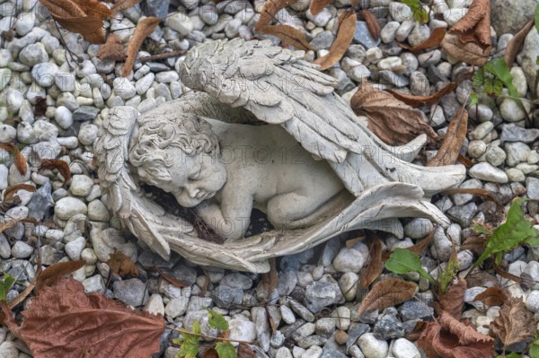 Tomb with sleeping cherub, catholic cemetery, Kempten, Allgäu, Bavaria, Germany