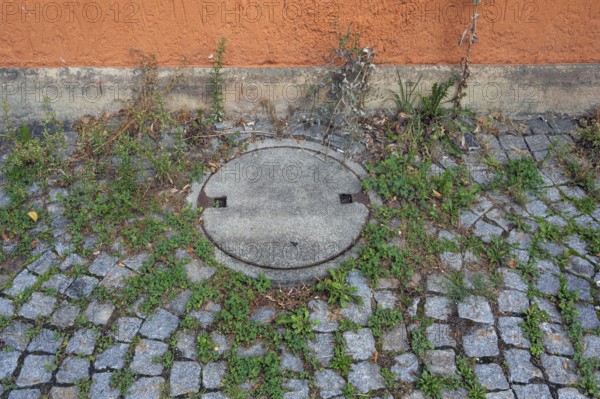 Stone paving with manhole cover and clover (Trifolium), near the Allgäuhalle, Kempten, Allgäu, Bavaria, Germany