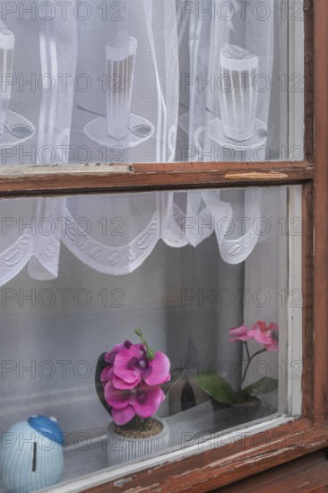 Window with blind, white, curtain with orchids at the Allgäuhalle, Kempten, Allgäu, Bavaria, Germany