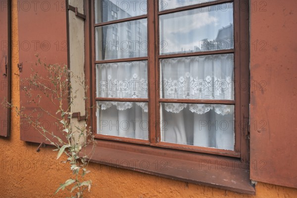 Window with white floral blind, curtain, near the Allgäuhalle, Kempten, Allgäu, Bavaria, Germany