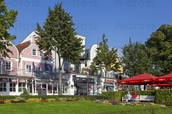 Houses on the Alter Strom, flowers, trees, parasols, Warnemünde, Rostock, Mecklenburg-Vorpommern, Germany