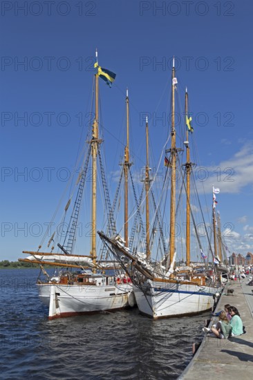Sailing ships at the quay wall, Hanse-Sail, harbour, Rostock, Mecklenburg-Western Pomerania, Germany
