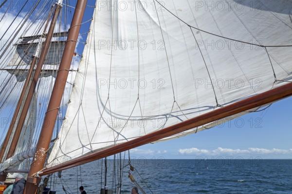 Sailing, sailing ship, Hanse-Sail, Baltic Sea near Warnemünde, Rostock, Mecklenburg-Western Pomerania, Germany