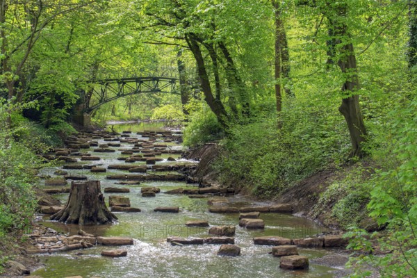 River Bastau Minden Germany