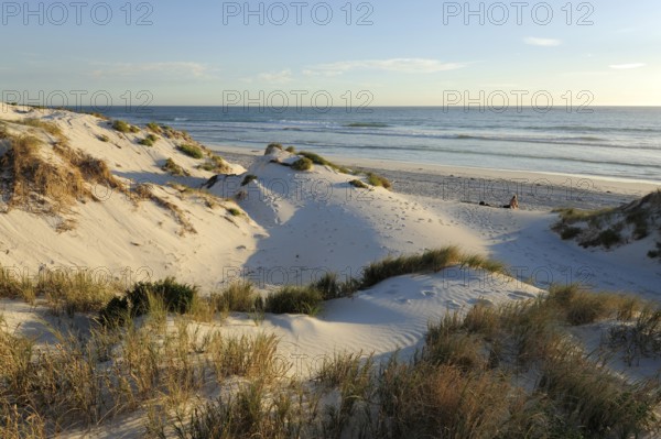 Beach and dunes near Lancelin, Perth, Western Australia, WA, Indian Ocean, Australia