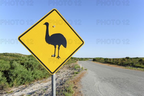 Road with emu warning sign near Cervantes, Perth, Western Australia, WA, Australia