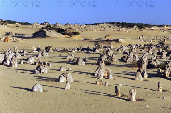 The Pinnacles, limestone pillars in the dunes, Nambung National Park near Cervantes, Perth, Western Australia, WA, Australia