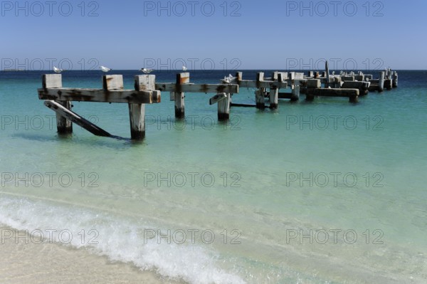 Beach and former jetty at Jurien Bay, Perth, Western Australia, WA, Indian Ocean, Australia