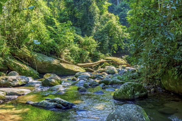 River crossing the rainforest on the paradise island of Ilhabela in Sao Paulo, Ilhabela, Sao Paulo, Brazil