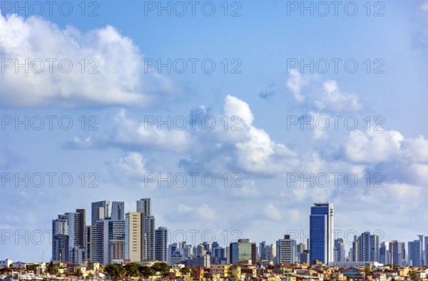 Skyline of the city of Recife in Pernambuco with a favela in front of the buildings, Recife, Pernambuco, Brazil